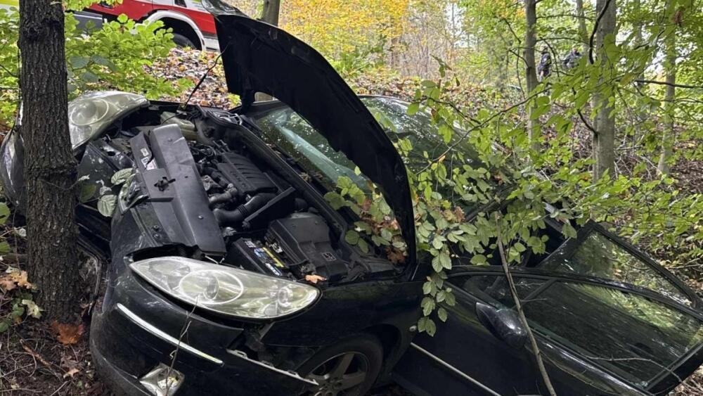 Foto: Facebook/HZS LK